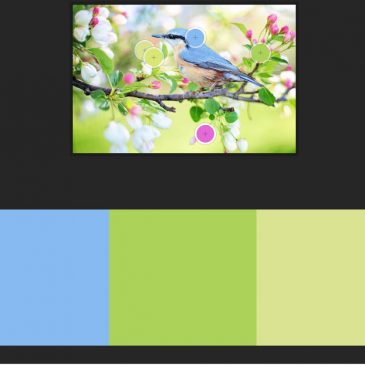 New Spring Color Palettes