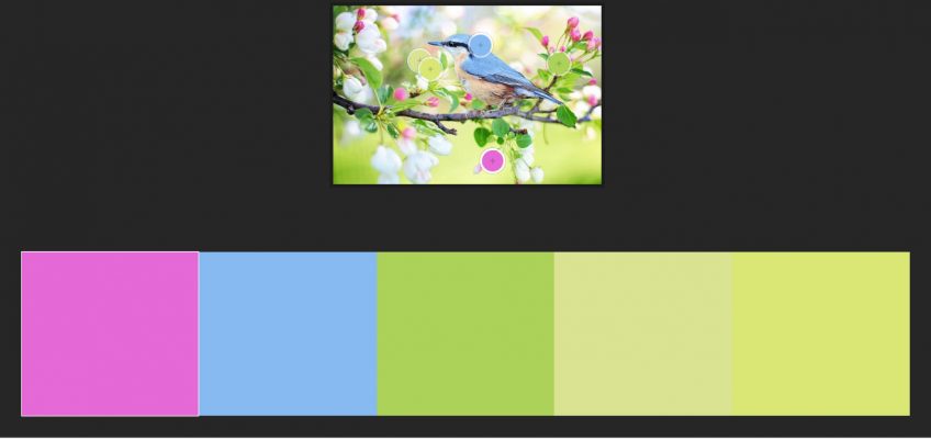 Spring Color Palettes